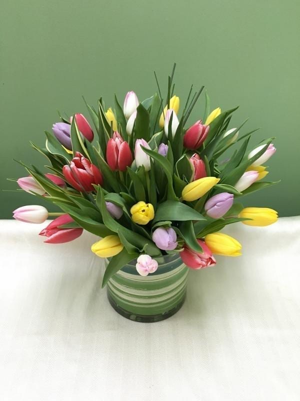 Chic Tulips - Bergen County NJ Florist