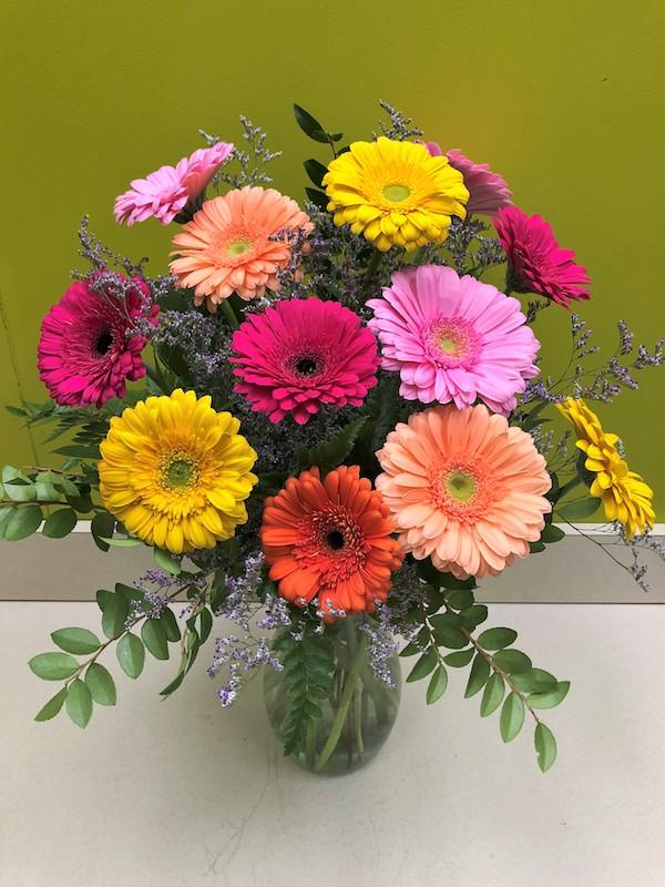Great Gerberas