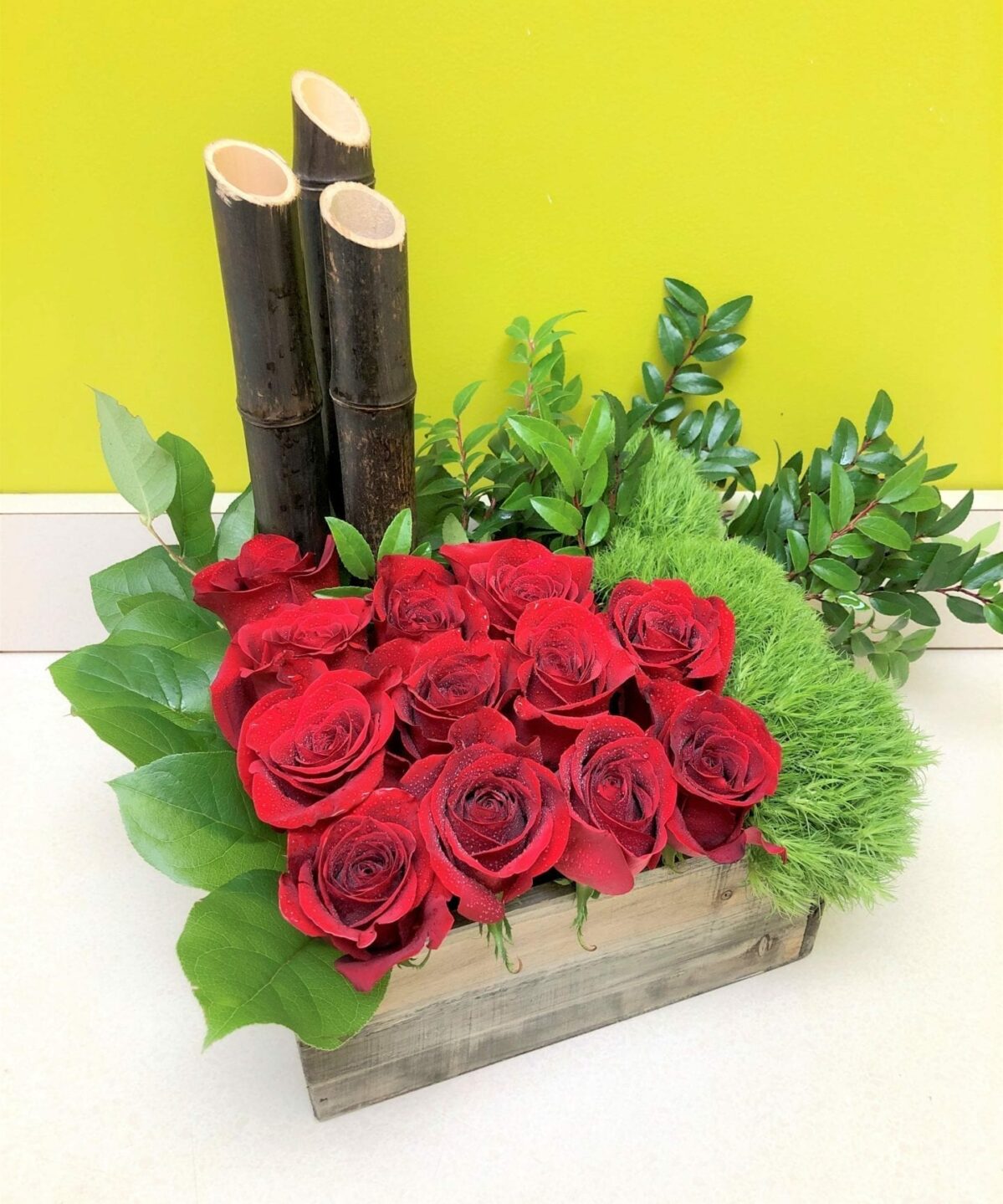 Modern Roses