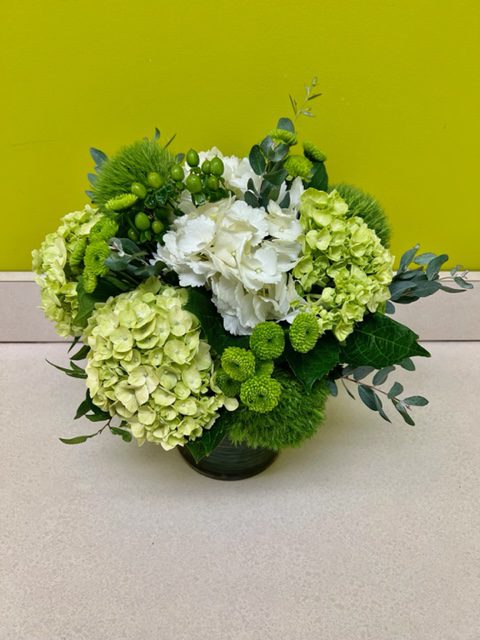 Gracious Green